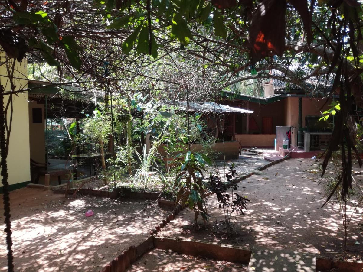 Sigiriya Freedom Lodge Dambulla Ngoại thất bức ảnh
