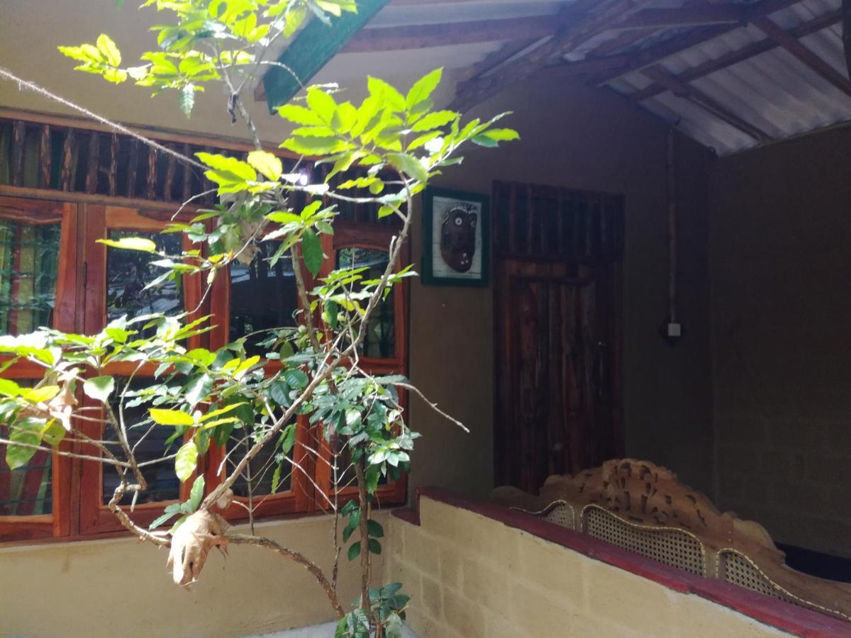 Sigiriya Freedom Lodge Dambulla Ngoại thất bức ảnh