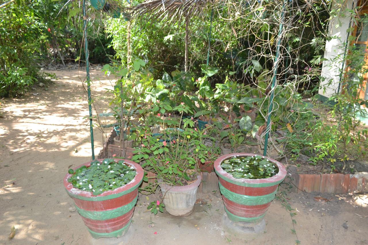 Sigiriya Freedom Lodge Dambulla Ngoại thất bức ảnh