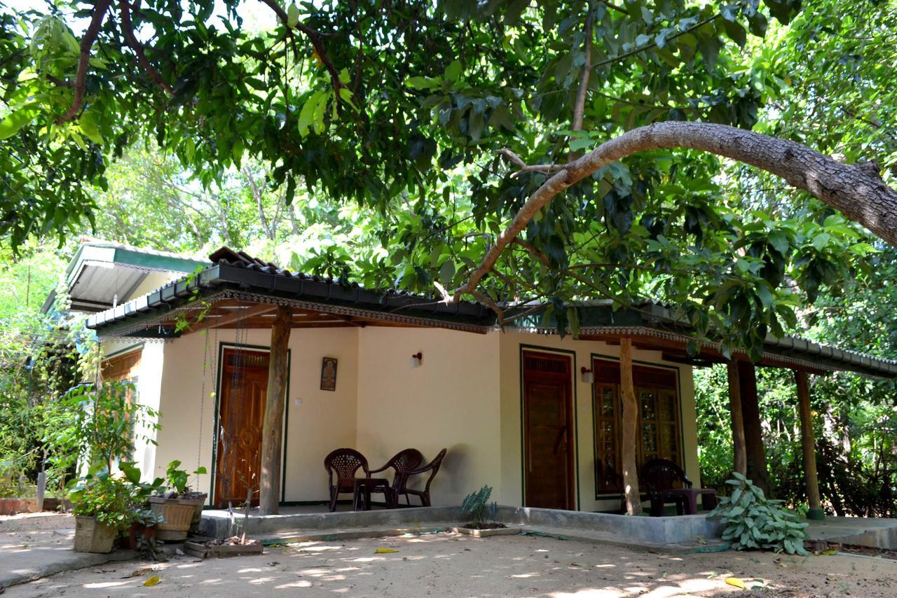 Sigiriya Freedom Lodge Dambulla Ngoại thất bức ảnh
