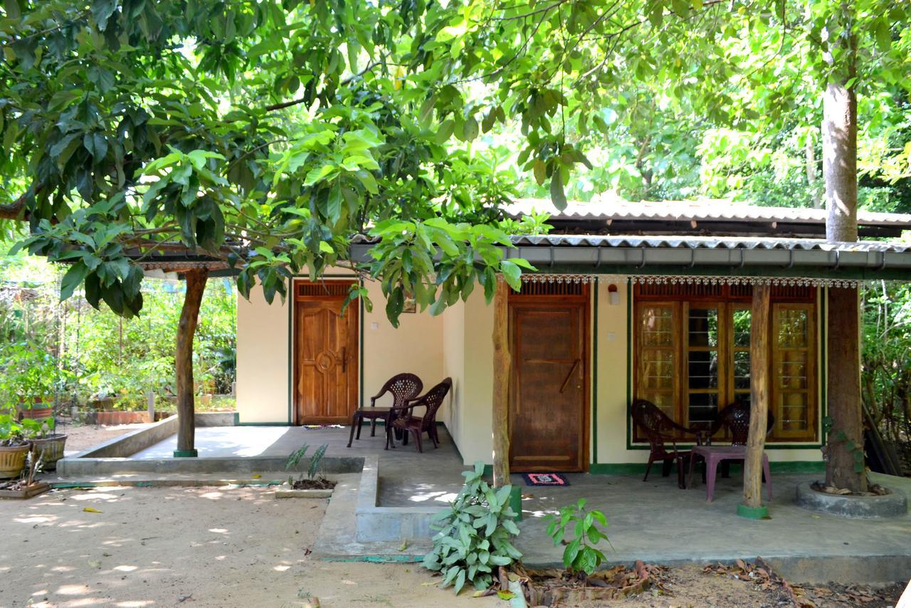 Sigiriya Freedom Lodge Dambulla Ngoại thất bức ảnh